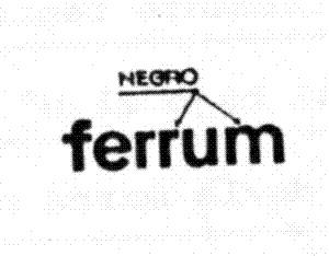 FERRUM