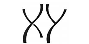 XY