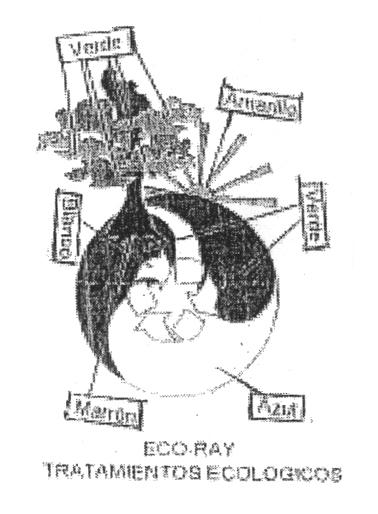 ECO RAY TRATAMIENTOS ECOLOGICOS