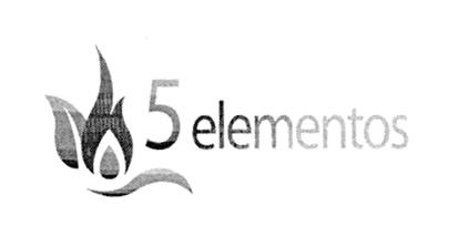 5 ELEMENTOS