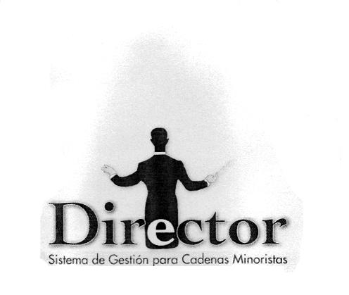 DIRECTOR SISTEMA DE GESTION PARA CADENAS MINORISTAS