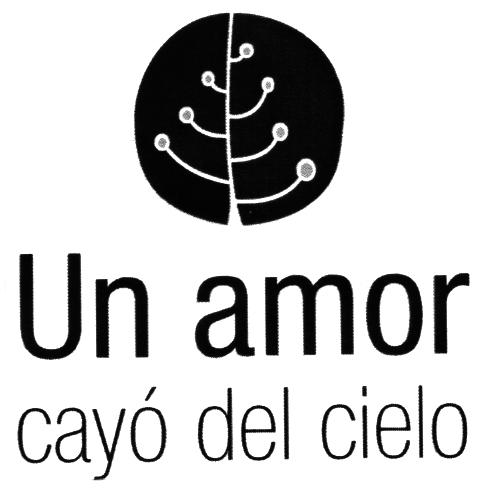 UN AMOR CAYO DEL CIELO