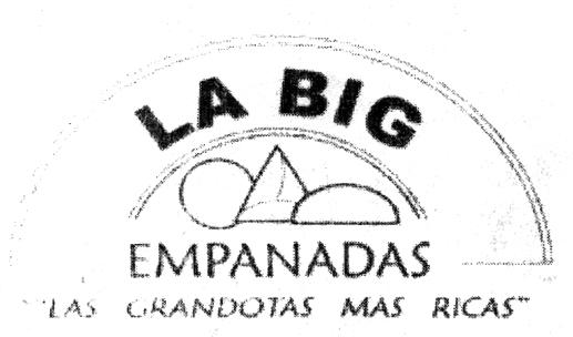 LA BIG EMPANADAS LAS GRANDOTAS MAS RICAS