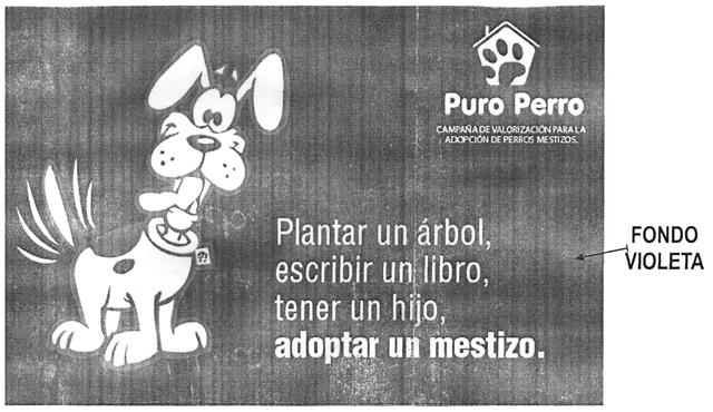 PURO PERRO CAMPAÑA DE VALORIZACION PARA LA ADOPCION DE PERROS MESTIZOS. PLANTAR UN ARBOL, ESCRIBIR UN LIBRO, TENER UN HIJO, ADOPTAR UN MESTIZO.