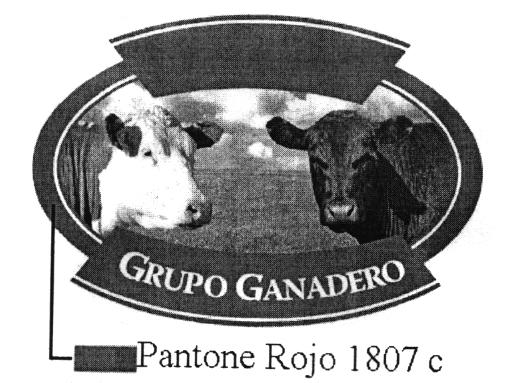 GRUPO GANADERO