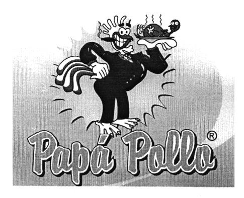 PAPA POLLO