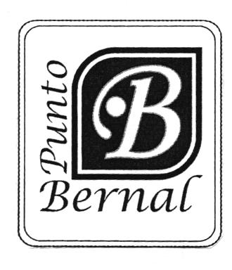 PUNTO BERNAL B