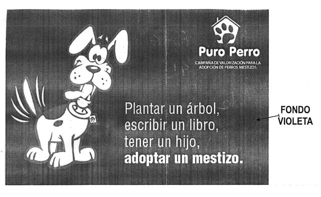 PURO PERRO CAMPAÑA DE VALORIZACION PARA LA ADOPCION DE PERROS MESTIZOS. PLANTAR UN ARBOL, ESCRIBIR UN LIBRO, TENER UN HIJO, ADOPTAR UN MESTIZO.