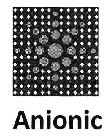 ANIONIC