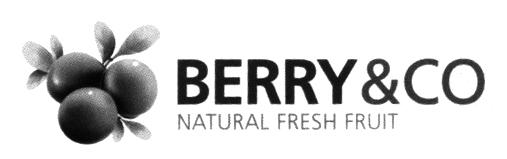 BERRY & CO NATURAL FRESH FRUIT