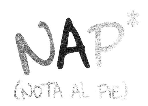 NAP (NOTA AL PIE)