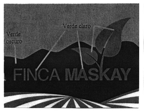 FINCA MASKAY