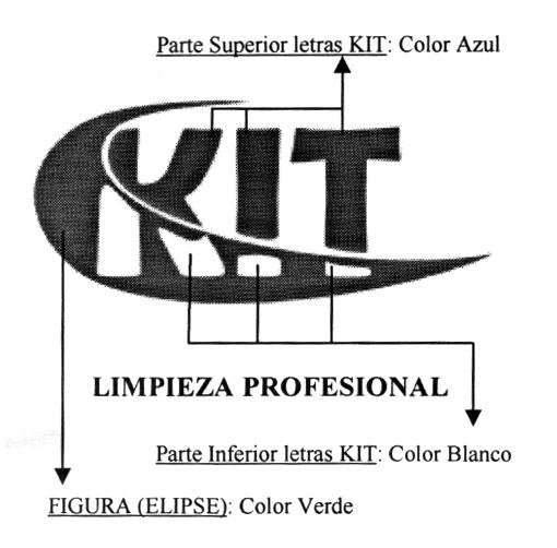 KIT LIMPIEZA PROFESIONAL