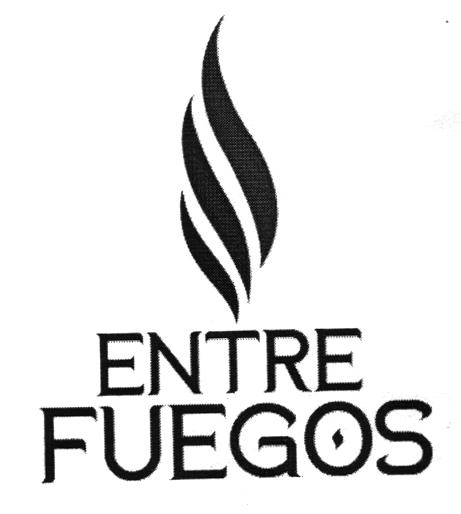 ENTRE FUEGOS