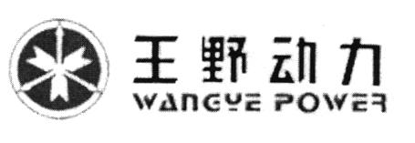 WANGYE POWER