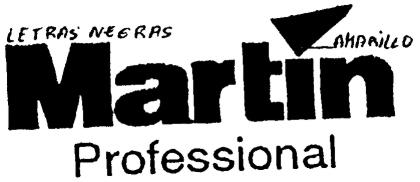 MARTIN PROFESSIONAL