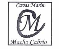 CM CAVAS MARIN MACHO CABRIO