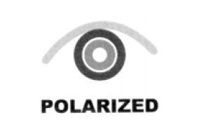 POLARIZED