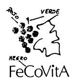 FECOVITA