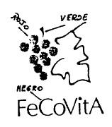 FECOVITA