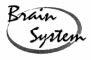 BRAIN SYSTEM