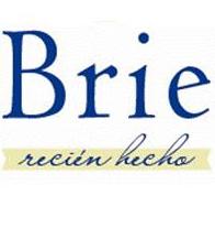 BRIE RECIÉN HECHO