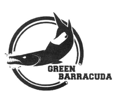 GREEN BARRACUDA