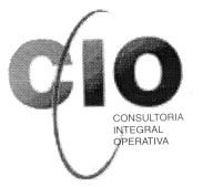 CIO CONSULTORIA INTEGRAL OPERATIVA