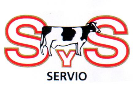 SYS SERVIO