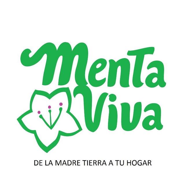 MENTA VIVA DE LA MADRE TIERRA A TU HOGAR