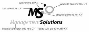 MS MANAGEMENTSOLUTIONS