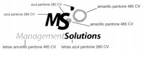 MS MANAGEMENTSOLUTIONS