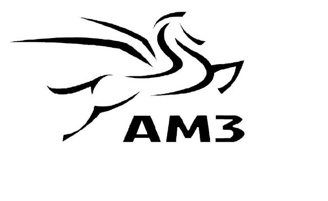 AM3