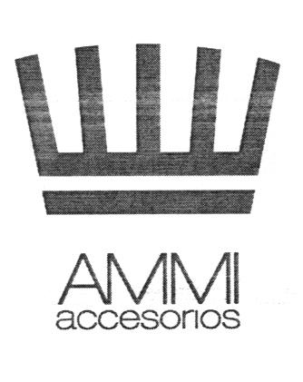 AMMI ACCESORIOS