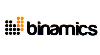 BINAMICS