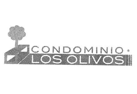 CONDOMINIO LOS OLIVOS