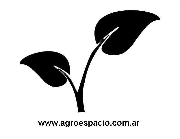 WWW.AGROESPACIO.COM.AR