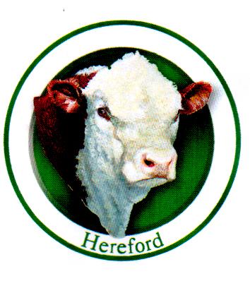 HEREFORD