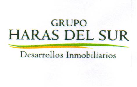 GRUPO HARAS DEL SUR DESARROLLOS INMOBILIARIOS