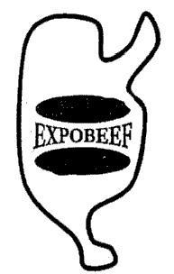 EXPOBEEF