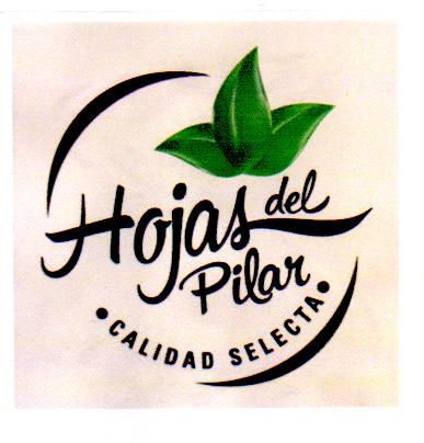 HOJAS DEL PILAR CALIDAD SELECTA