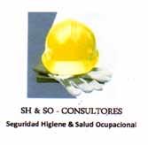 SH&SO-CONSULTORES SEGURIDAD HIGIENE & SALUD OCUPACIONAL