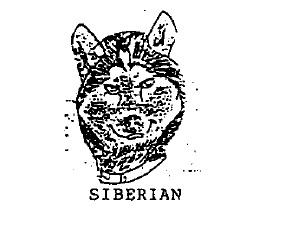 SIBERIAN