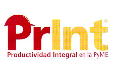 PRINT PRODUCTIVIDAD INTEGRAL EN LA PYME