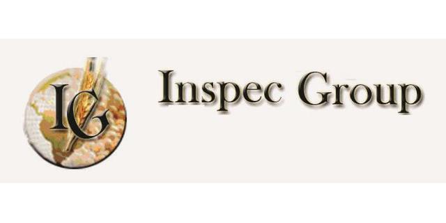 IG INSPEC GROUP