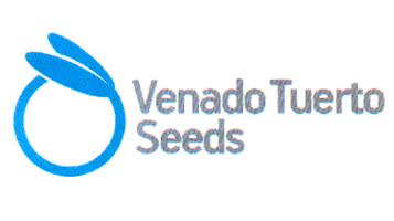 VENADO TUERTO SEEDS