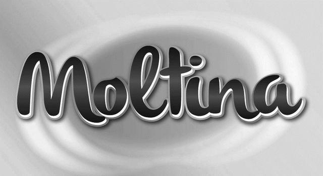 MOLTINA