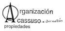 ORGANIZACION ACASSUSO PROPIEDADES