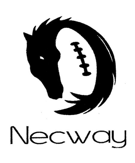 NECWAY