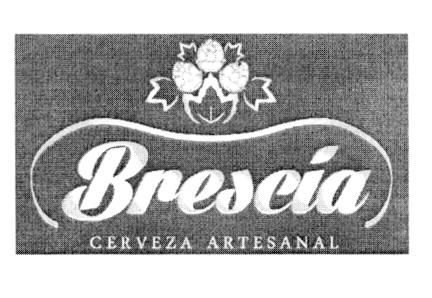 BRESCÍA CERVEZA ARTESANAL